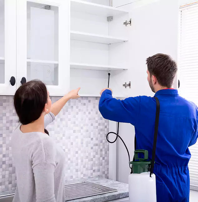Why Annandale Property Owners Choose Annandale Pest Control Pro for Ground Bee Removal?