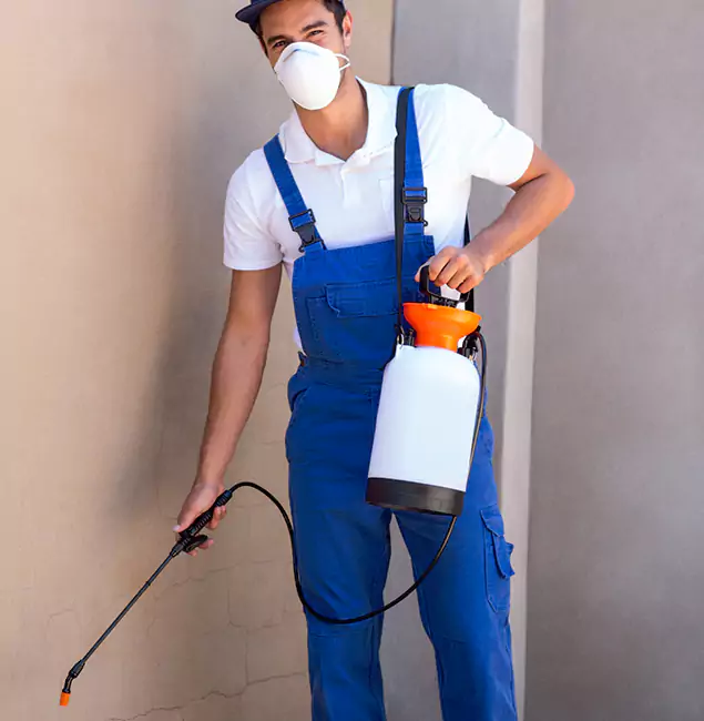 What Makes Annandale Pest Control Pro the Right Choice in Annandale, VA?