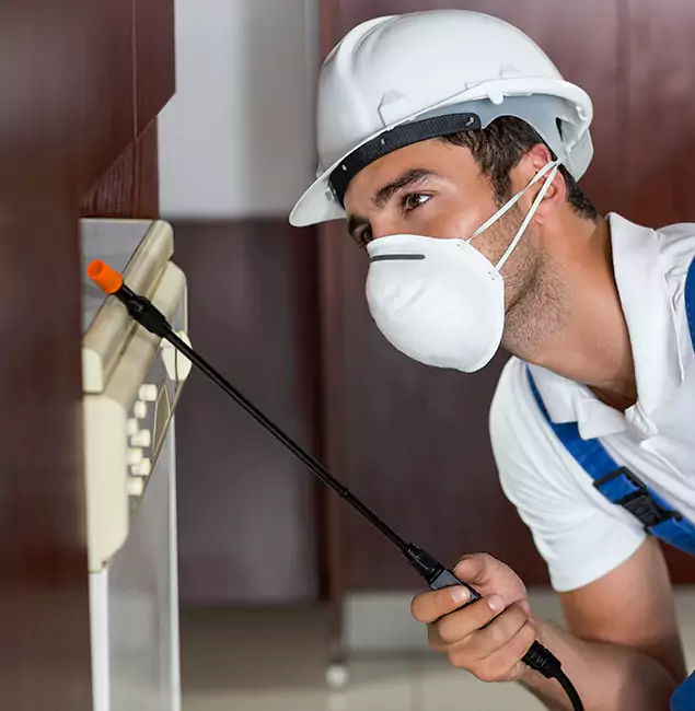 Why Annandale Homeowners Rely on Annandale Pest Control Pro for Tick Treatment?