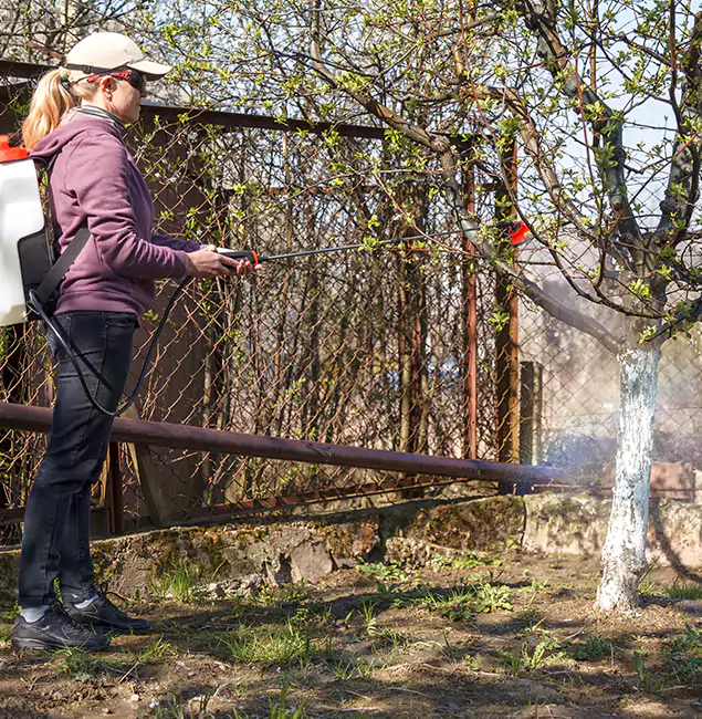 Why Annandale Homeowners Choose Annandale Pest Control Pro for Mosquito Abatement?