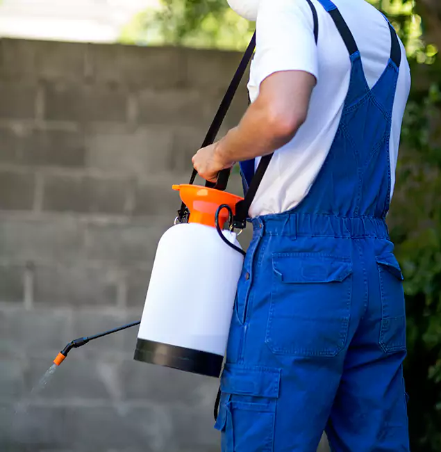 Why Annandale Homeowners Rely on Annandale Pest Control Pro for Mosquito Control?