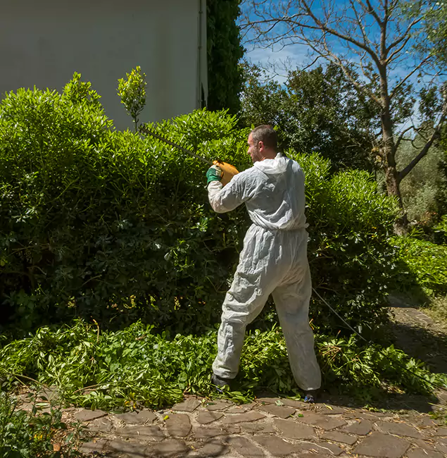 Why Annandale Pest Control Pro Leads Mosquito Control in Annandale, VA?