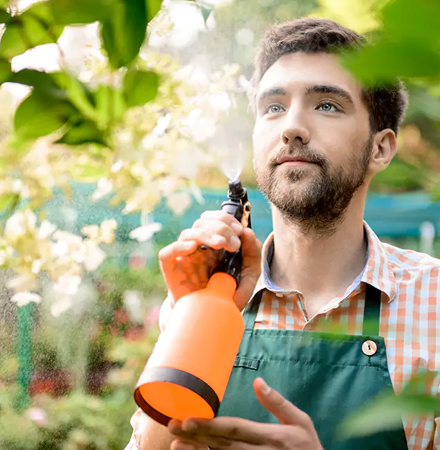 Why Annandale Pest Control Pro Is the Best Mosquito Control Company in Annandale, VA?