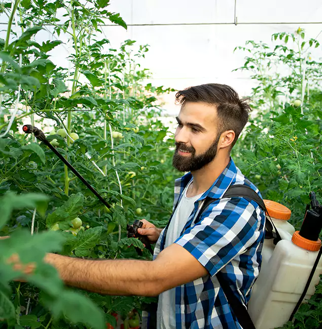 Why Annandale Homeowners Choose Annandale Pest Control Pro for Mosquito Spraying?