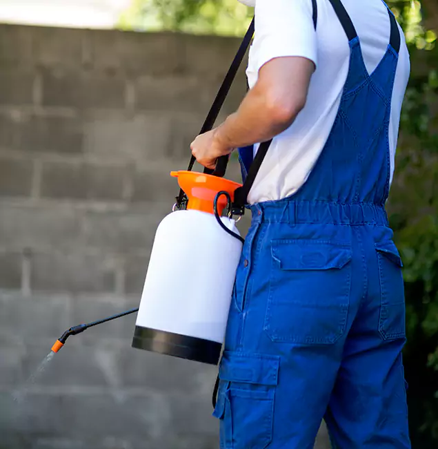 Why Annandale Pest Control Pro Delivers the Best Mosquito Control in Annandale, VA?