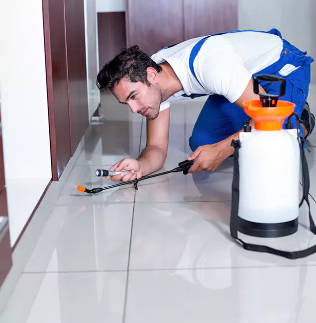 Why Annandale Pest Control Pro Is the Proven Choice in Annandale, VA?