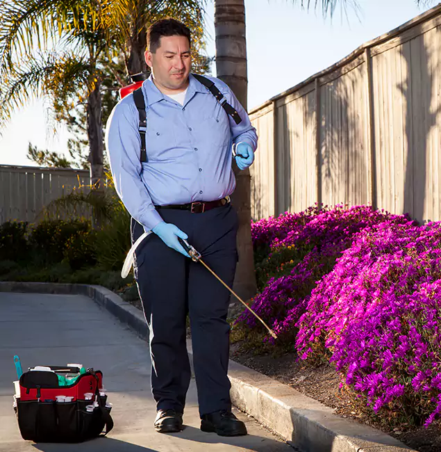 Why Choose Annandale Pest Control Pro in Annandale, VA?