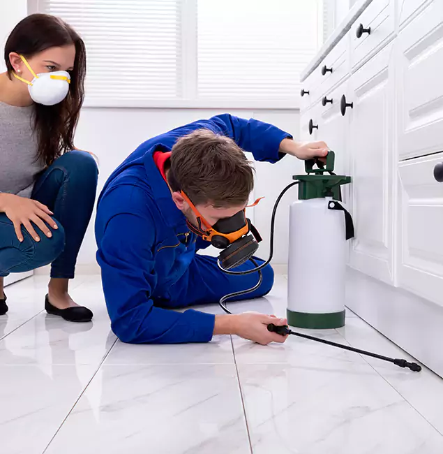 Why Choose Annandale Pest Control Pro in Annandale, VA?