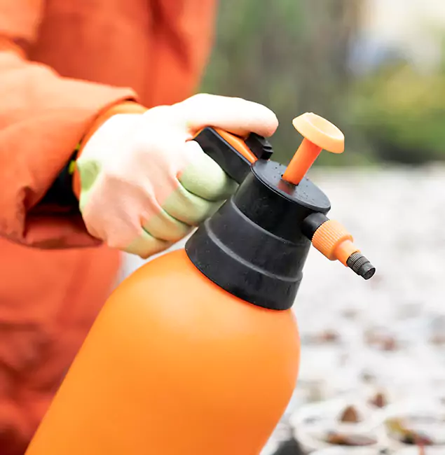 Why Choose Annandale Pest Control Pro for Orange Termite Treatment in Annandale, VA?