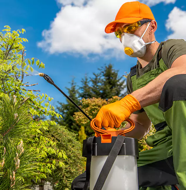 Why Choose Annandale Pest Control Pro for Outdoor Pest Control in Annandale, VA?