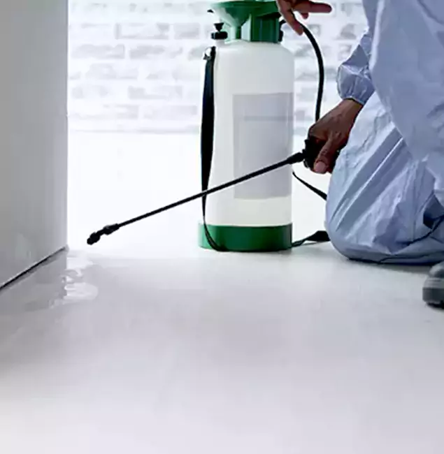 Why Choose Annandale Pest Control Pro for Rat Exterminator in Annandale, VA?
