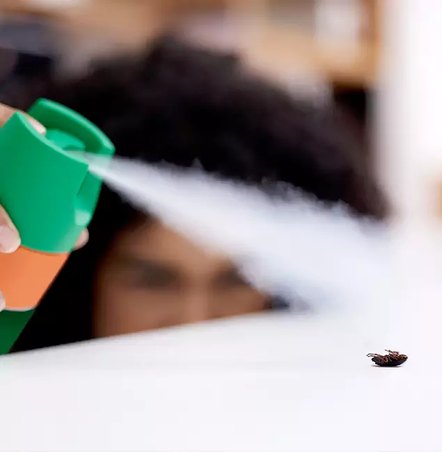 Why Annandale, VA Homeowners Choose Annandale Pest Control Pro for Roach Pest Control?
