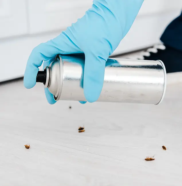 Why Choose Annandale Pest Control Pro for Safe Bed Bug Treatment in Annandale, VA?