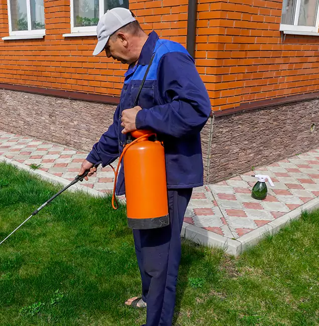 Why Choose Annandale Pest Control Pro for Soil Treatment in Annandale, VA?