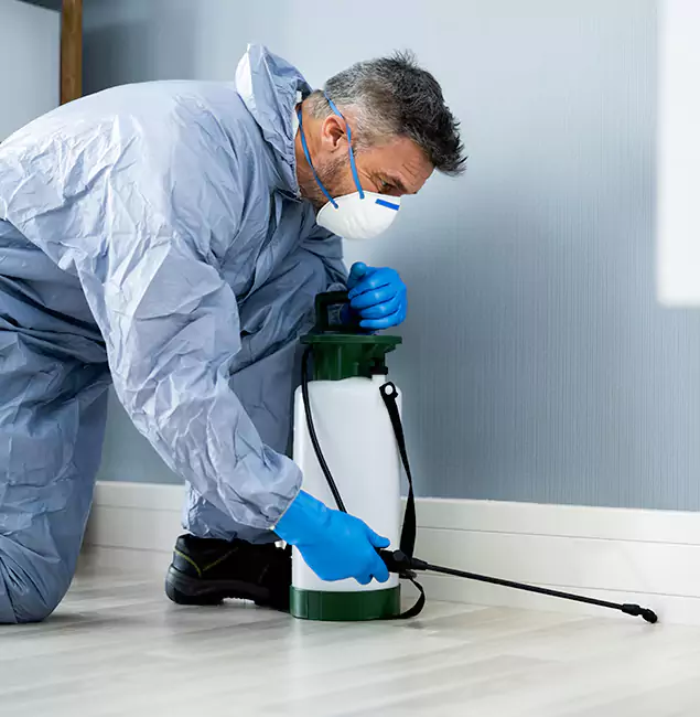 Why Choose Annandale Pest Control Pro for Subterranean Termites Treatment in Annandale, VA?