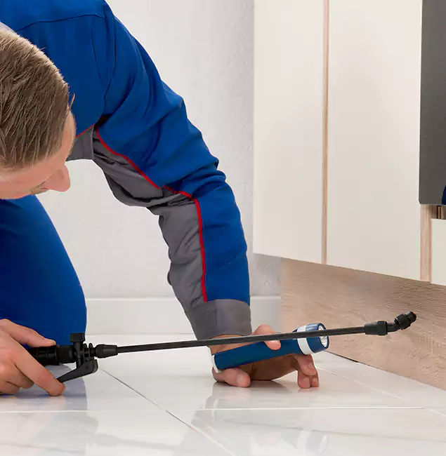 Why Annandale Residents Choose Annandale Pest Control Pro to Get Rid of Sugar Ants?