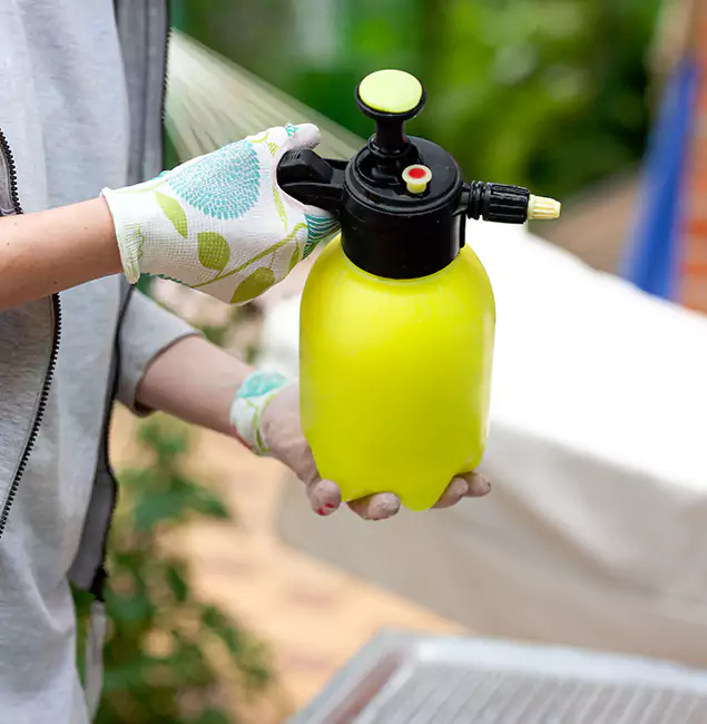 Why Choose Us: Annandale Pest Control Pro Termite Spraying Experts in Annandale, VA?