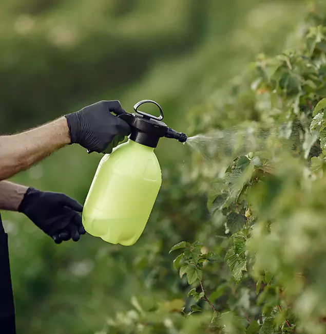 Why Annandale Homeowners Choose Annandale Pest Control Pro for Yard Tick Treatment?