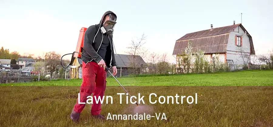 Lawn Tick Control Annandale-VA