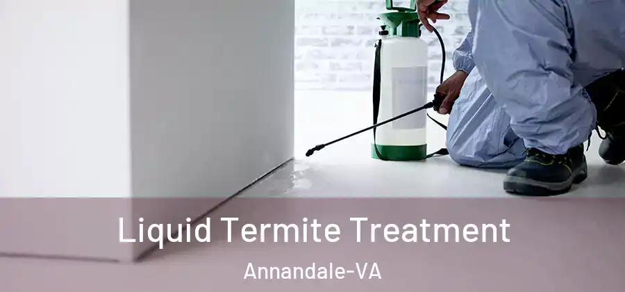 Liquid Termite Treatment Annandale-VA