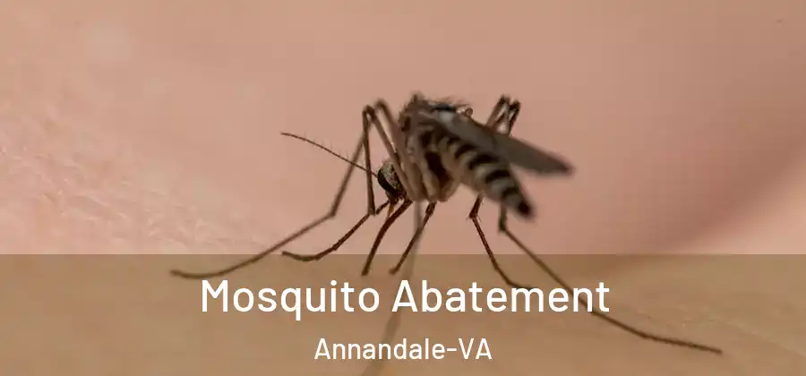 Mosquito Abatement Annandale-VA