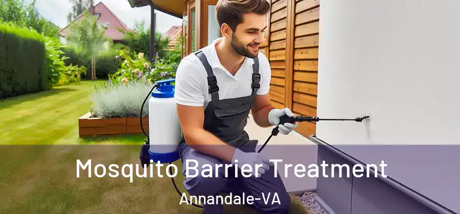 Mosquito Barrier Treatment Annandale-VA