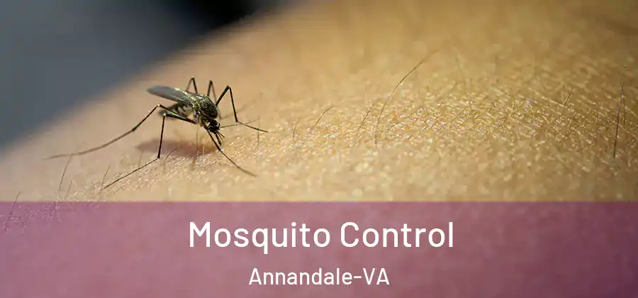 Mosquito Control Annandale-VA