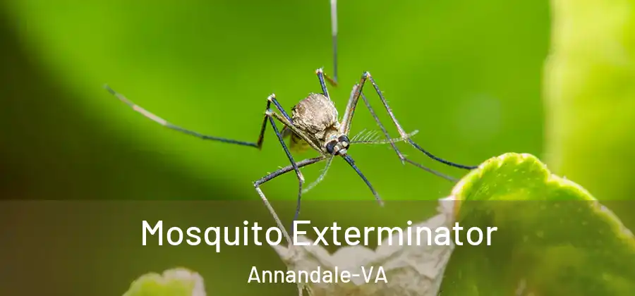 Mosquito Exterminator Annandale-VA