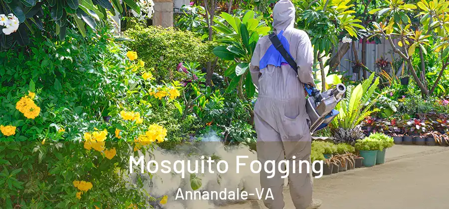 Mosquito Fogging Annandale-VA