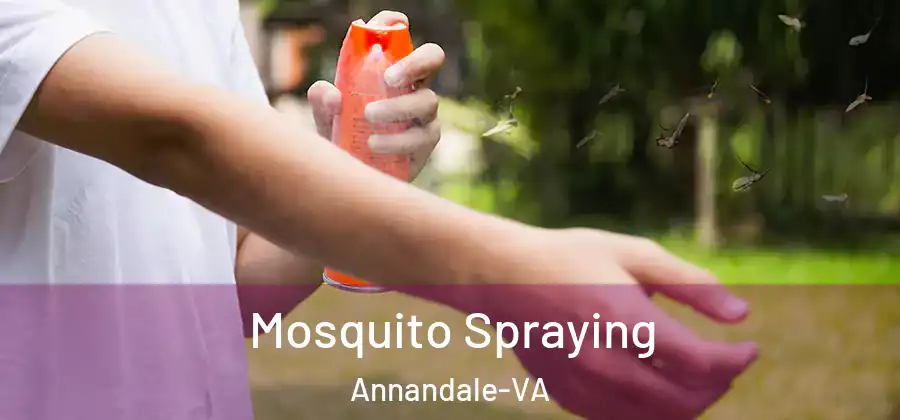 Mosquito Spraying Annandale-VA