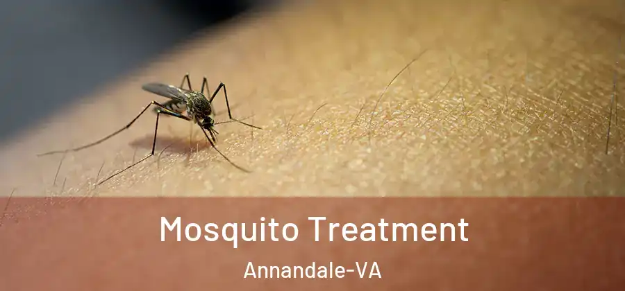 Mosquito Treatment Annandale-VA