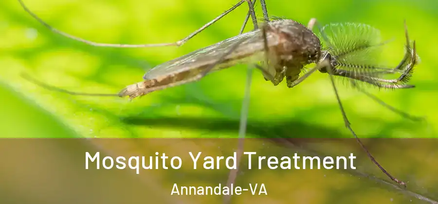 Mosquito Yard Treatment Annandale-VA