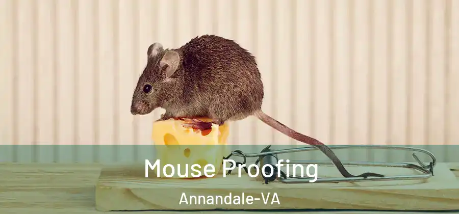 Mouse Proofing Annandale-VA