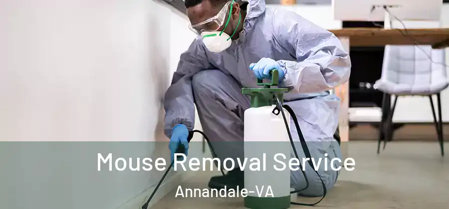 Mouse Removal Service Annandale-VA