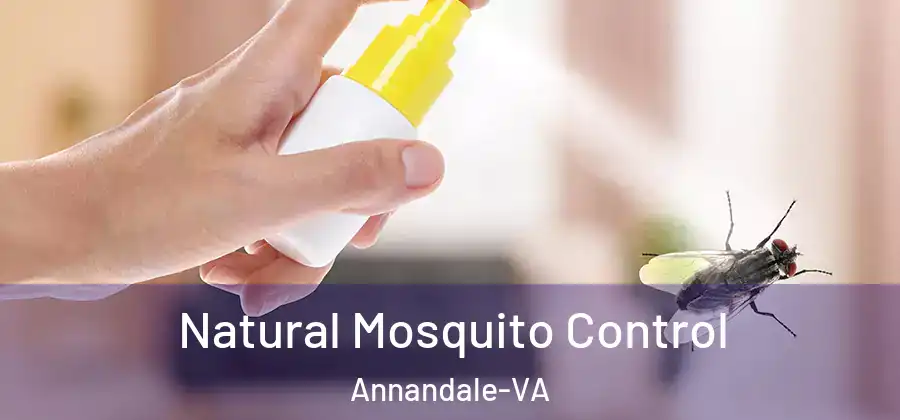 Natural Mosquito Control Annandale-VA