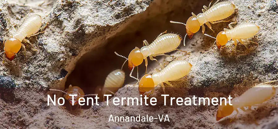No Tent Termite Treatment Annandale-VA
