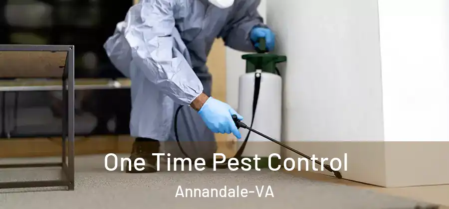 One Time Pest Control Annandale-VA