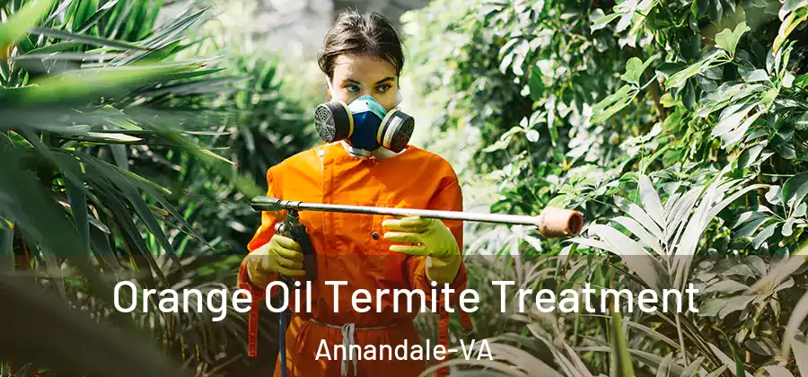 Orange Oil Termite Treatment Annandale-VA