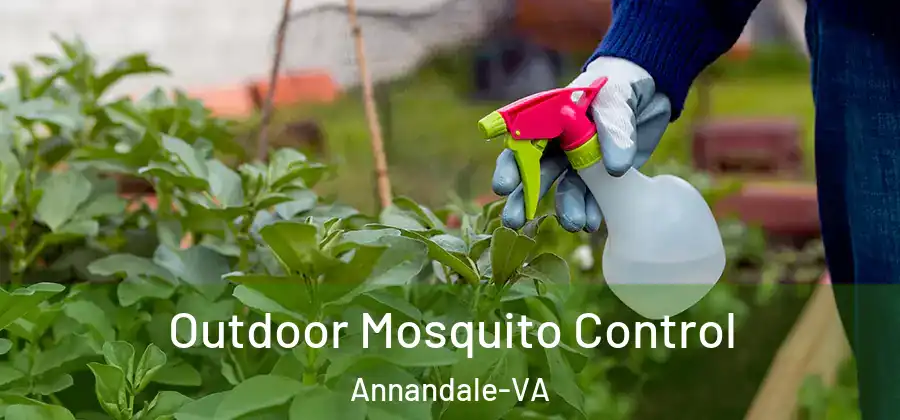 Outdoor Mosquito Control Annandale-VA