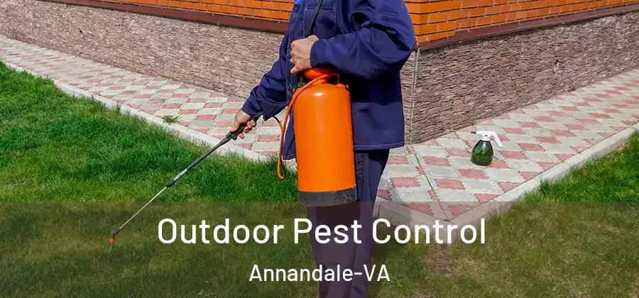 Outdoor Pest Control Annandale-VA