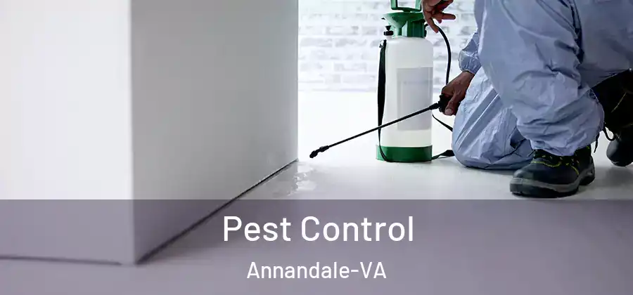  Pest Control Annandale-VA