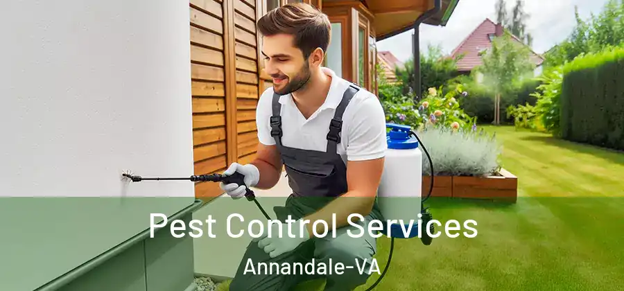 Pest Control Services Annandale-VA
