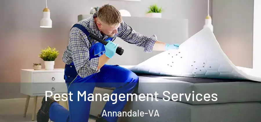 Pest Management Services Annandale-VA
