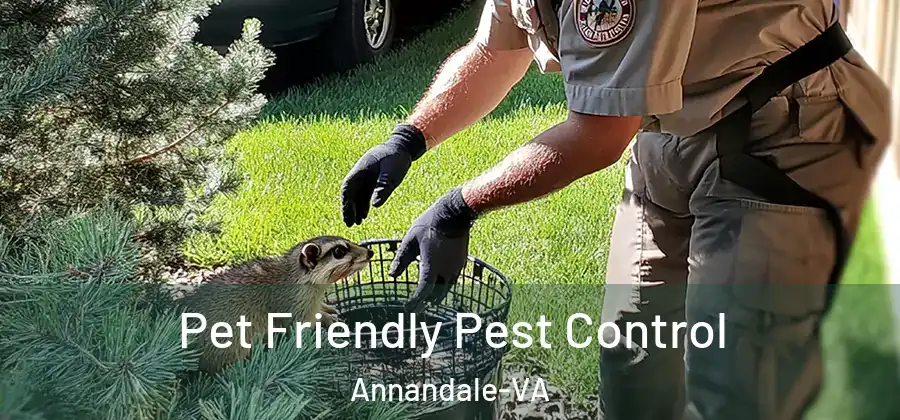 Pet Friendly Pest Control Annandale-VA