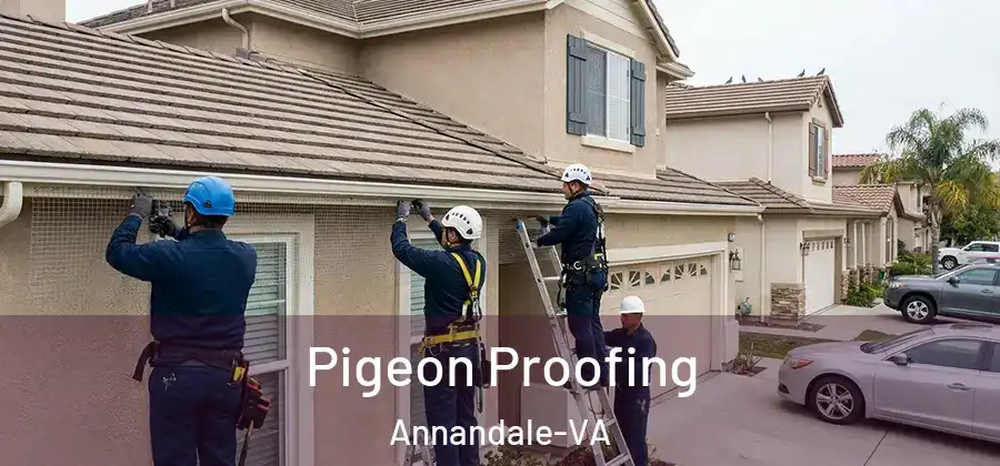 Pigeon Proofing Annandale-VA