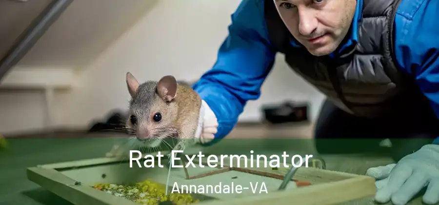 Rat Exterminator Annandale-VA