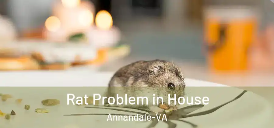 Rat Problem in House Annandale-VA