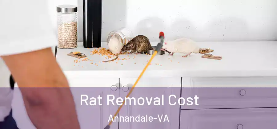 Rat Removal Cost Annandale-VA