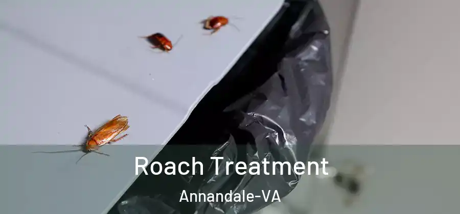Roach Treatment Annandale-VA
