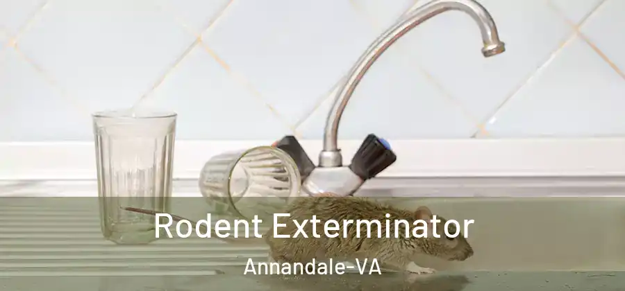 Rodent Exterminator Annandale-VA